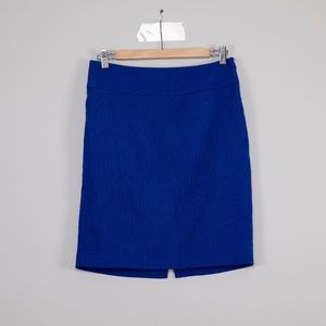 Pencil Skirt